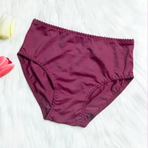 Valene Rising Butterfly Full Brief Stretch Panty Maroon