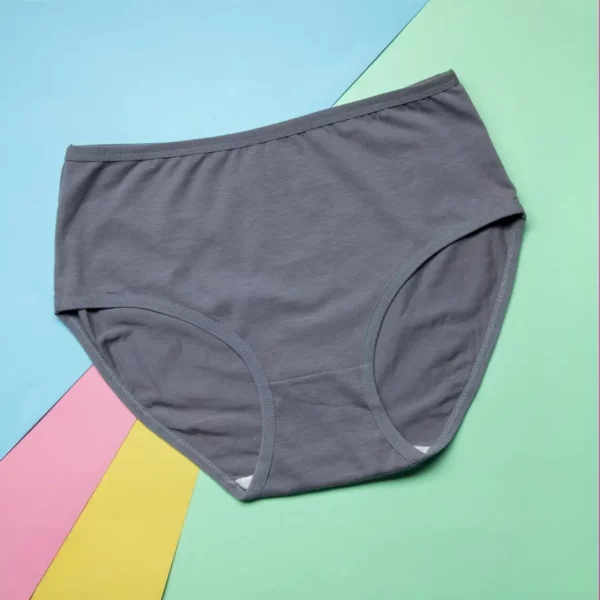 Valene All-Weather Super Soft Cotton Panty – Cloudy Gray