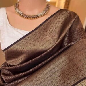 indian kanjiboron saree