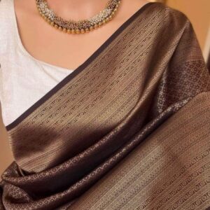 indian kanjiboron saree