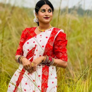 Halfsilk Saree